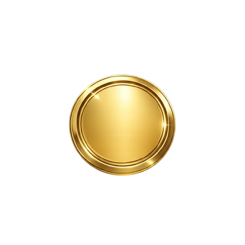 1coin transparent 02png